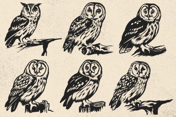 Download Tawny Owl SVG File for Cricut, Bird Svg - Svg file Collection