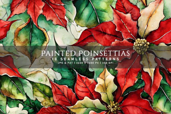 Download Painted Poinsettias - Poinsettias Collection